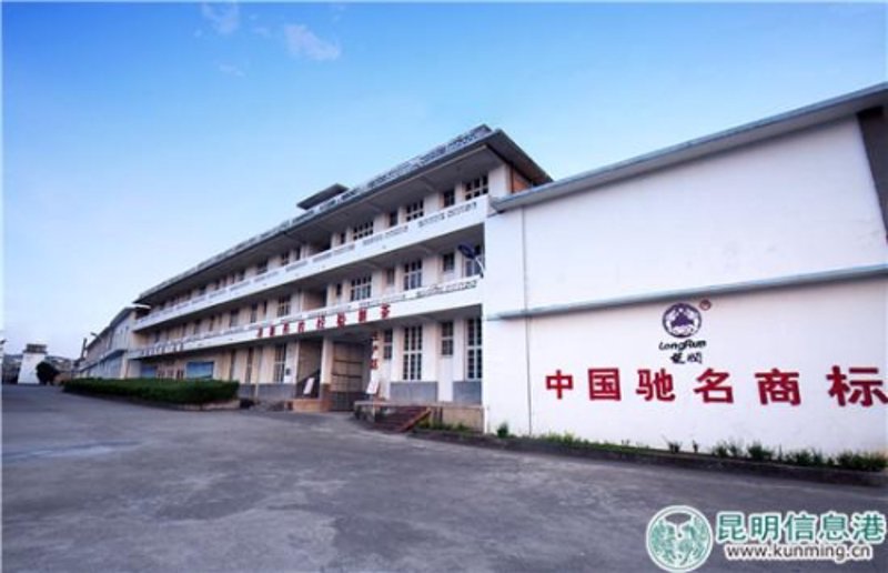 普洱茶批发的商业价值与市场选择
