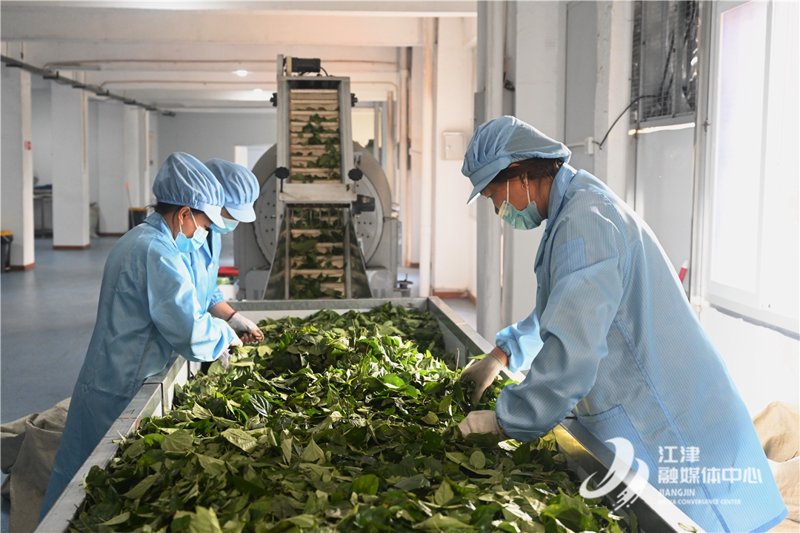 红茶定制：提升生活艺术的小秘诀